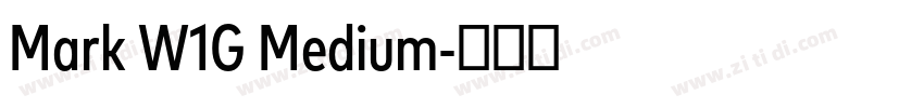 Mark W1G Medium字体转换